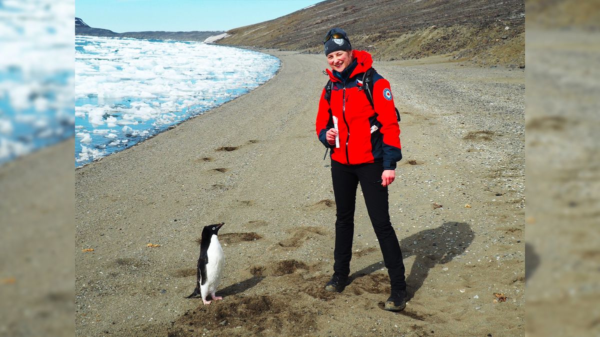 Vědkyně: Nová antibiotika hledáme v Antarktidě